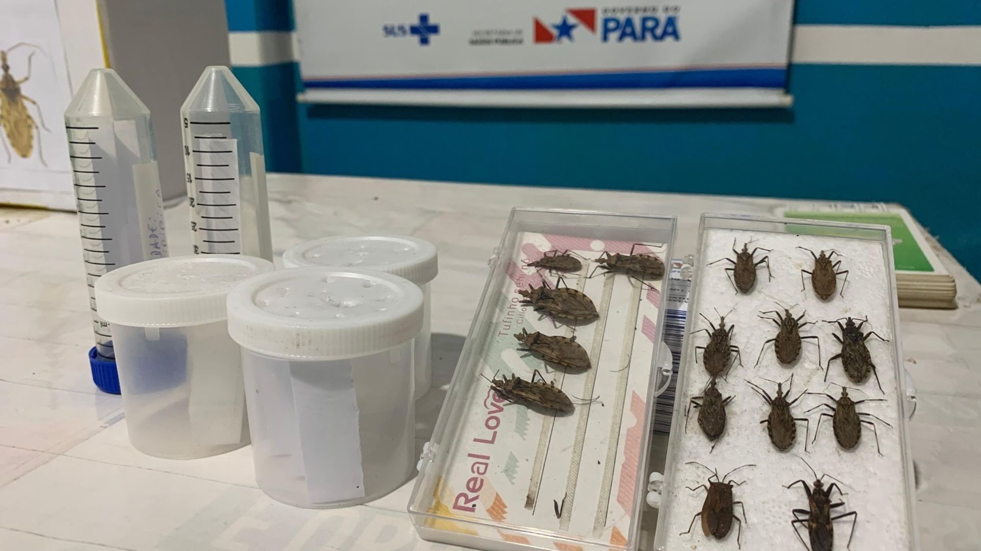 Instalação do posto de prevenção à doença de Chagas